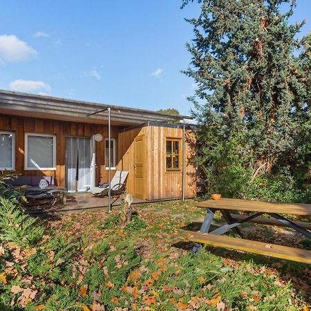 Nice Home In Zeulenroda-Triebes With Sauna 외부 사진